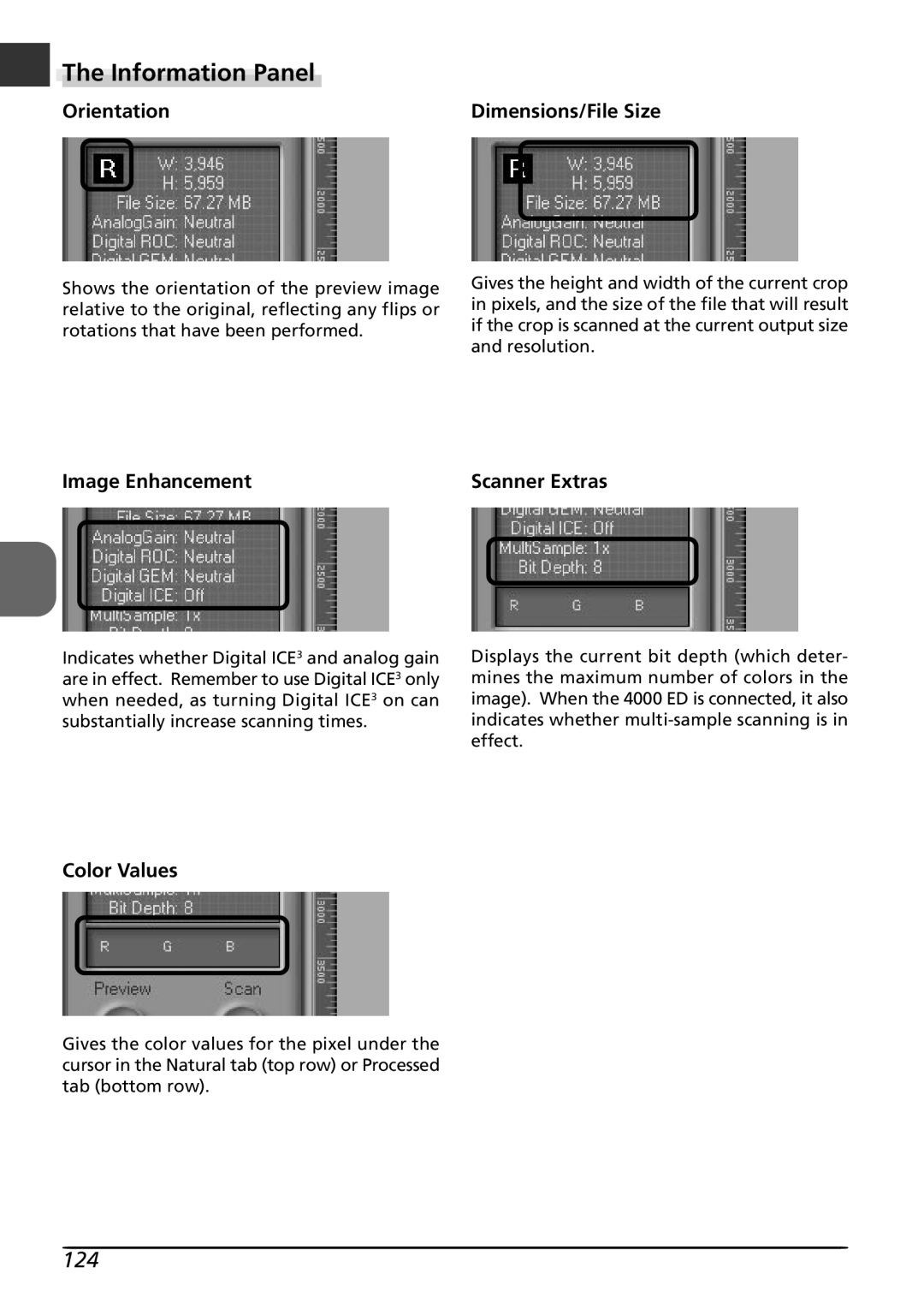 Nikon LS4000 The Information Panel, Orientation, Dimensions/File Size, Image Enhancement, Color Values, Scanner Extras 