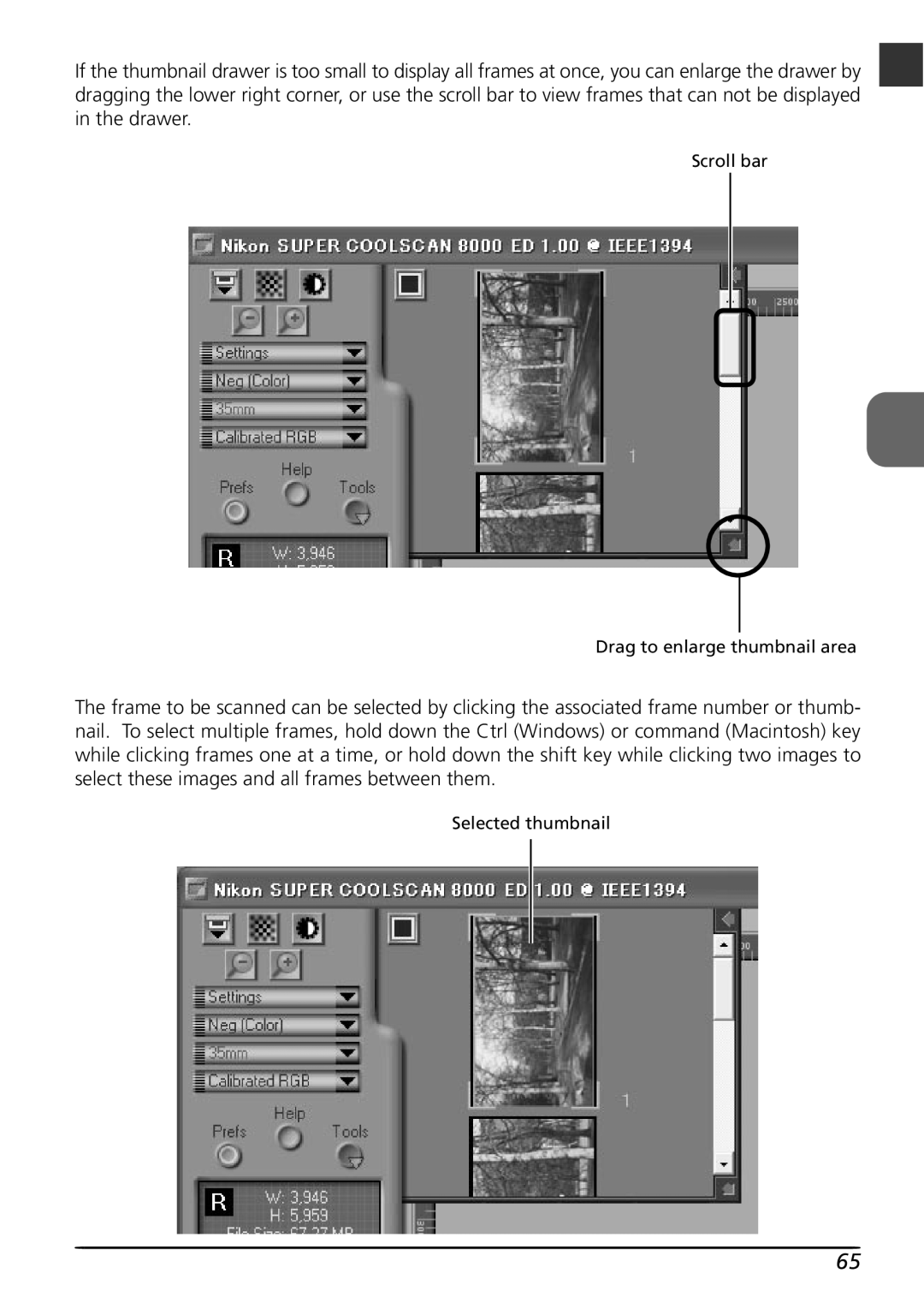 Nikon LS8000 user manual Scroll bar Drag to enlarge thumbnail area, Selected thumbnail 