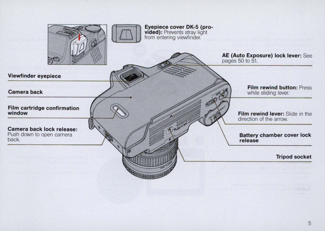 Nikon N6000 instruction manual Pages 50 to 