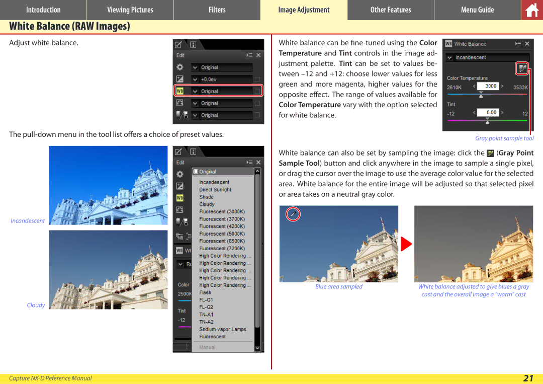 Nikon NX-D manual White Balance RAW Images, Incandescent Cloudy Blue area sampled 