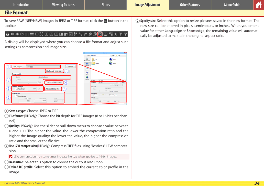 Nikon NX-D manual File Format 