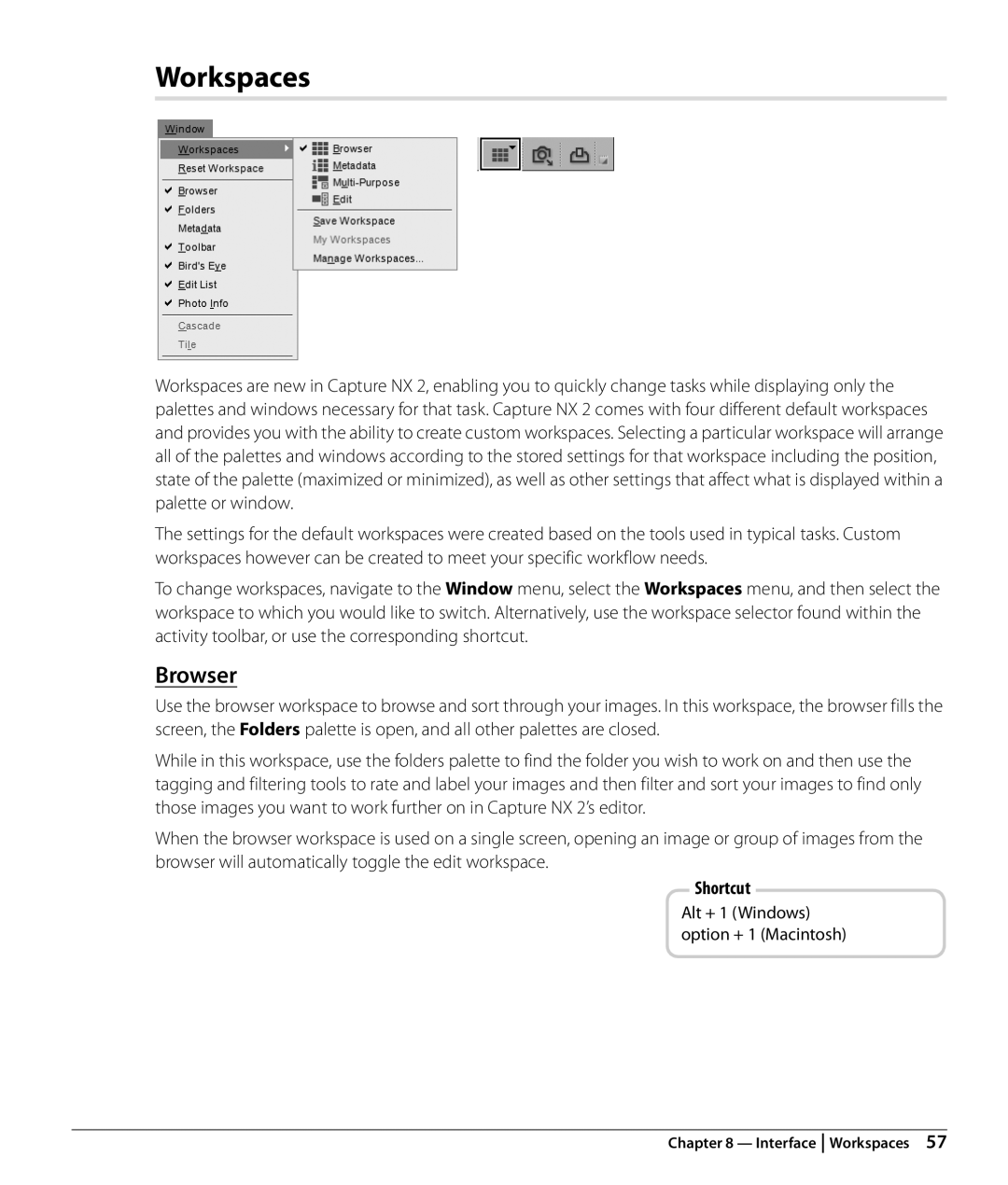 Nikon NX2 user manual Workspaces, Browser 