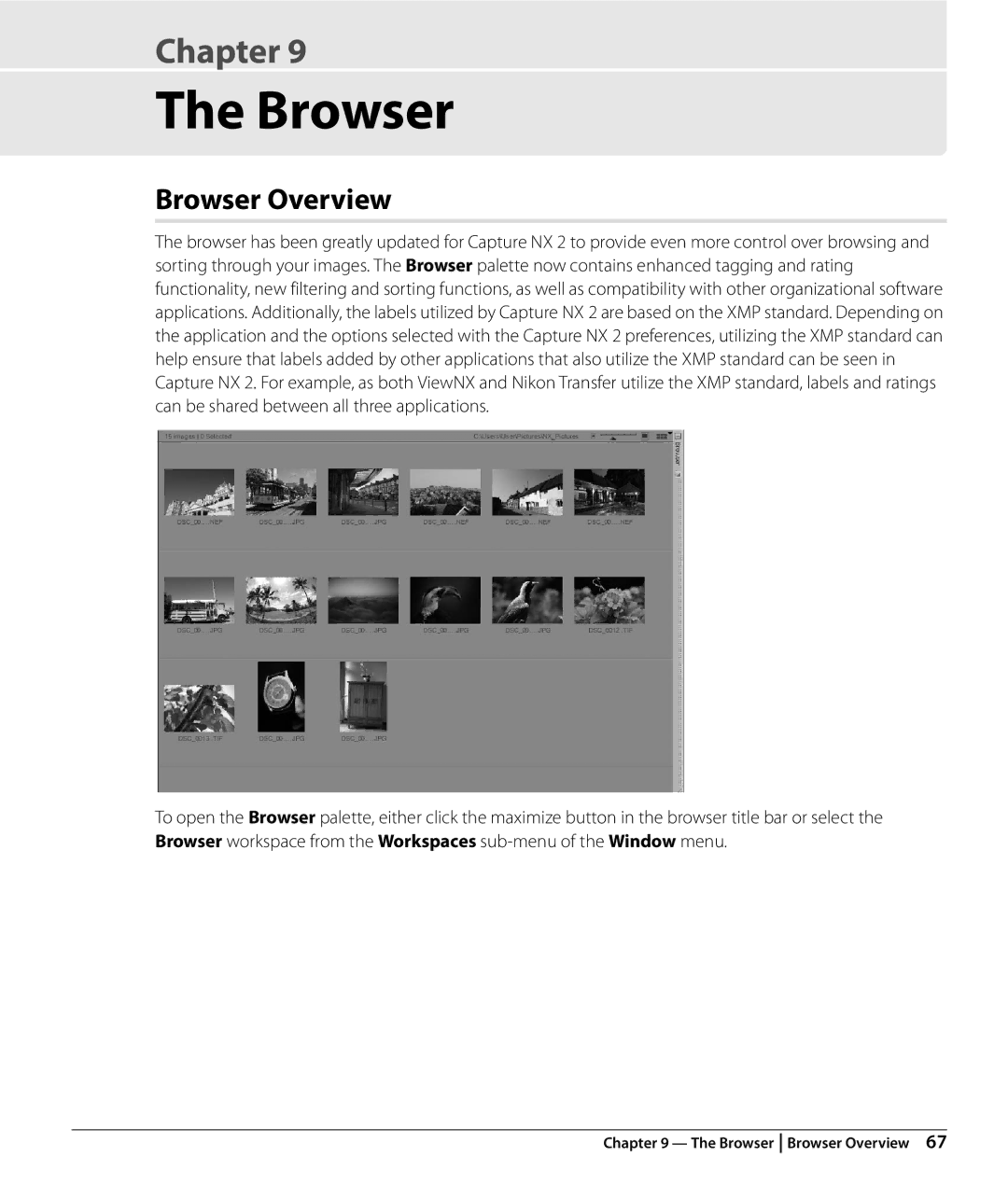 Nikon NX2 user manual Browser Overview 