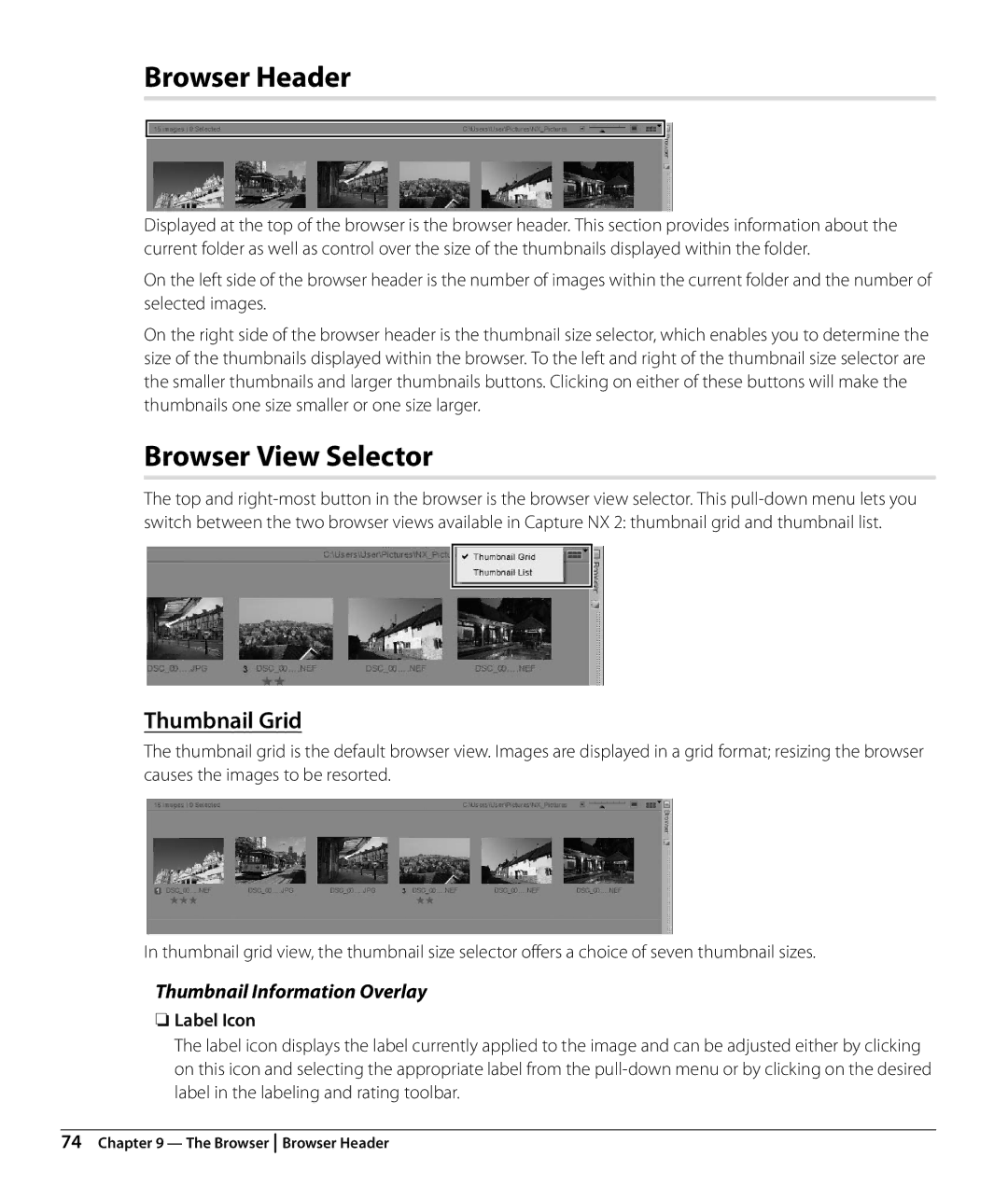 Nikon NX2 user manual Browser Header, Browser View Selector, Thumbnail Grid, Thumbnail Information Overlay, Label Icon 