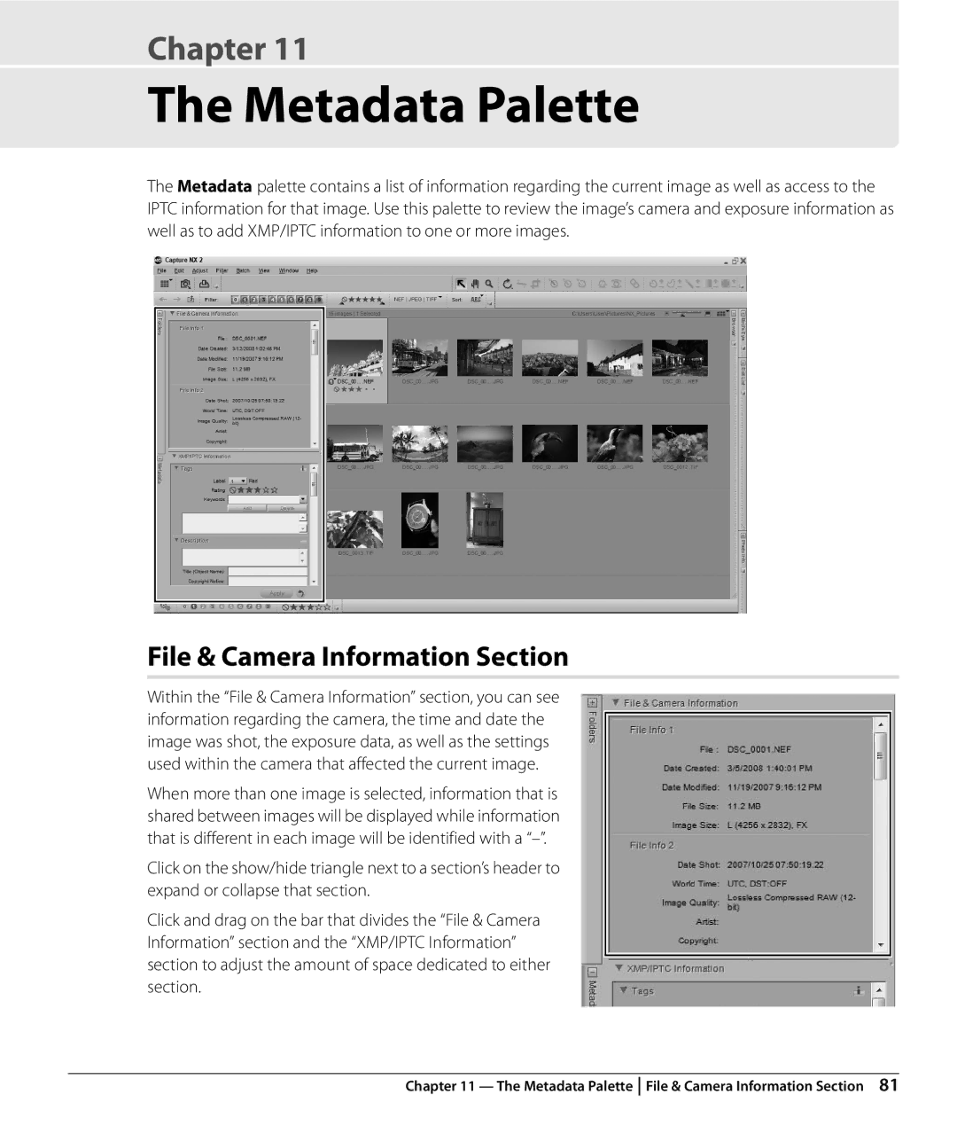 Nikon NX2 user manual Metadata Palette, File & Camera Information Section 