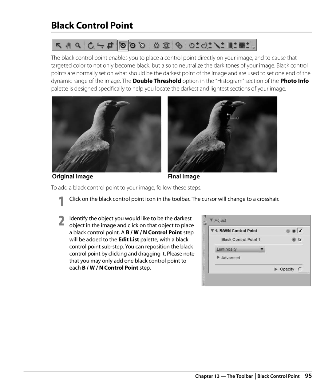 Nikon NX2 user manual Black Control Point, Original Image 