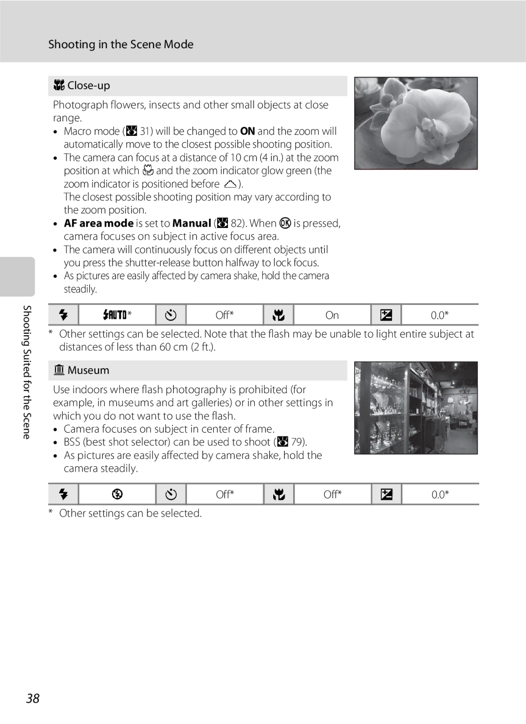 Nikon S202 manual Shooting in the Scene Mode 