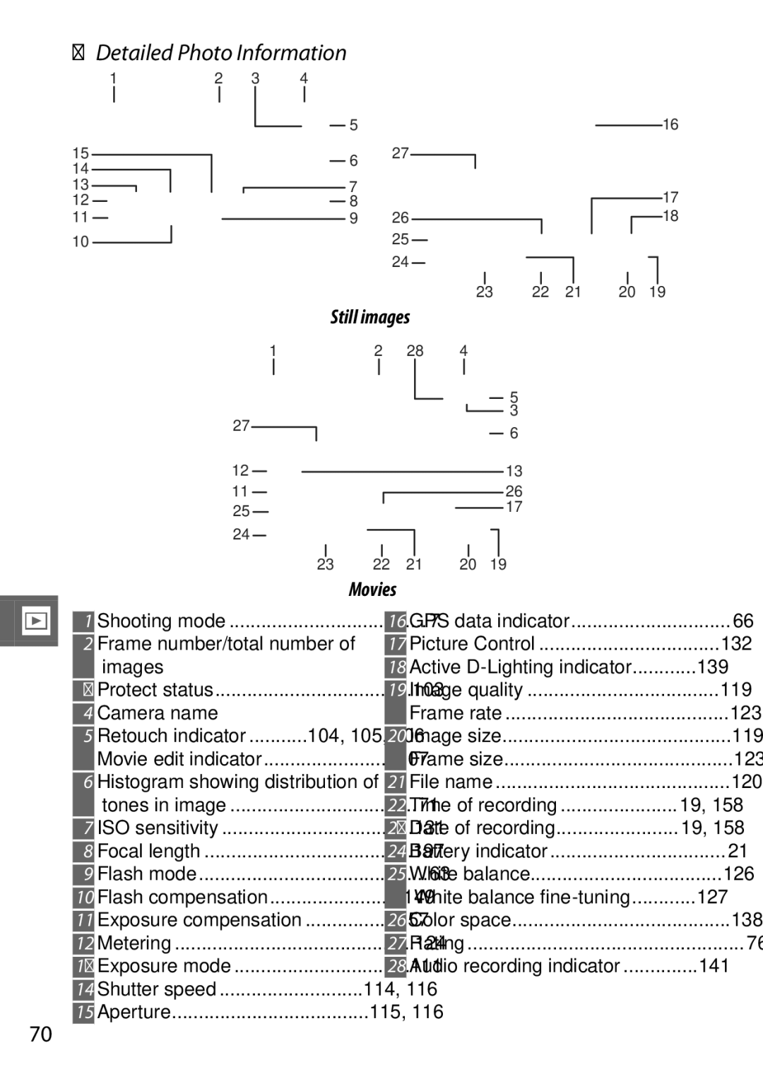 Nikon V1 manual Detailed Photo Information 