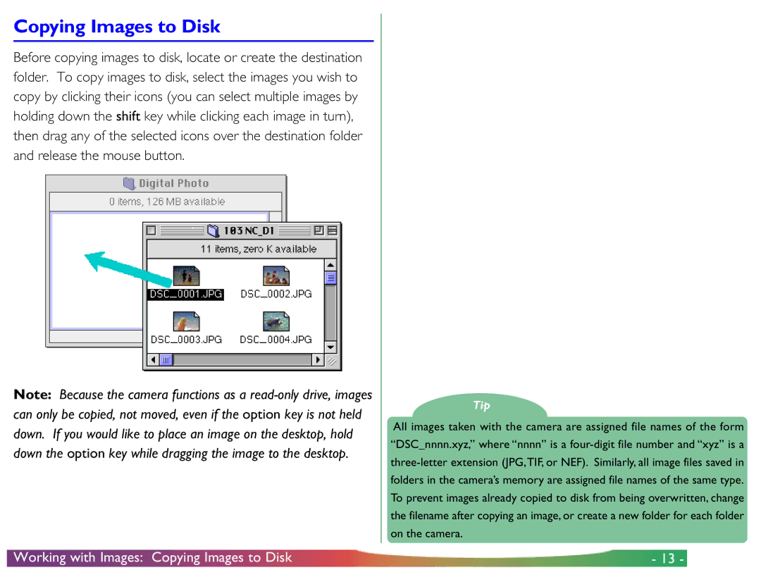 Nikon View DX manual Copying Images to Disk 