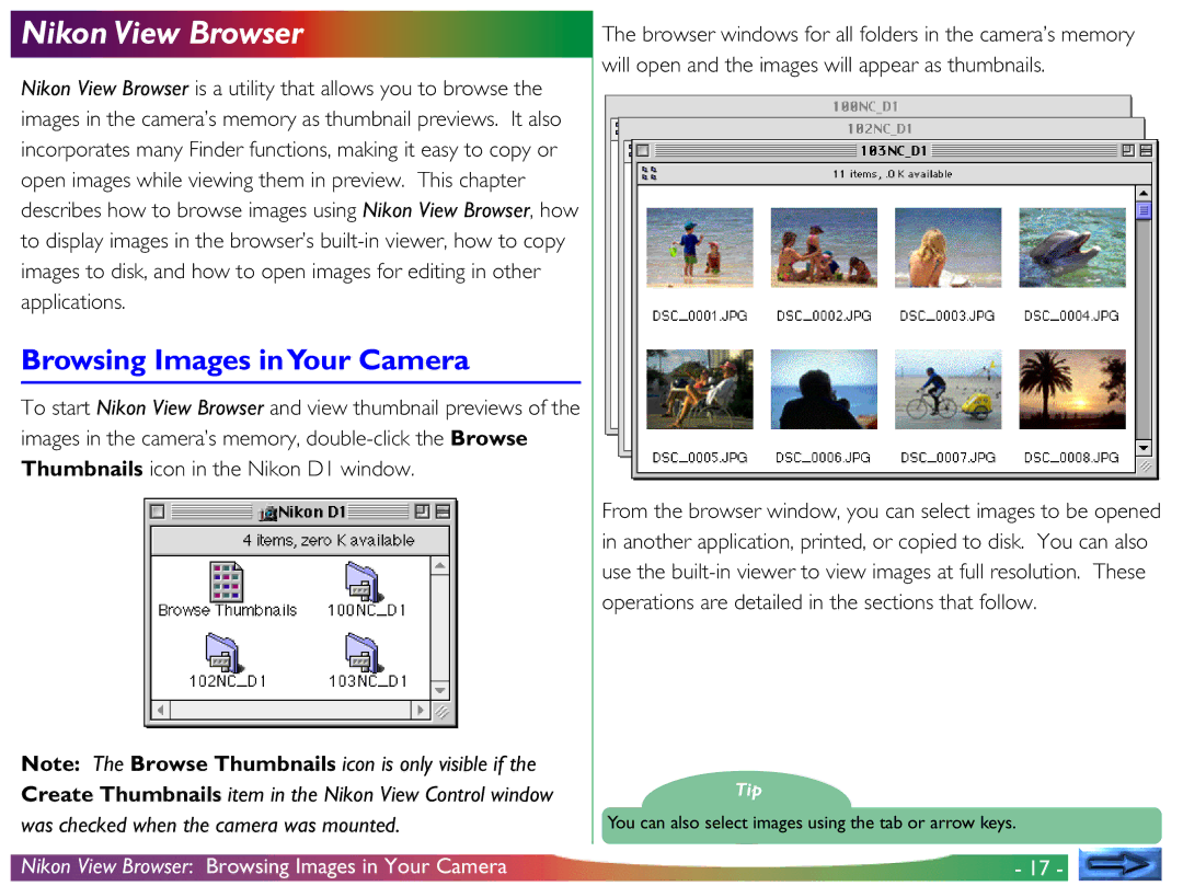 Nikon View DX manual Nikon View Browser, Browsing Images inYour Camera 