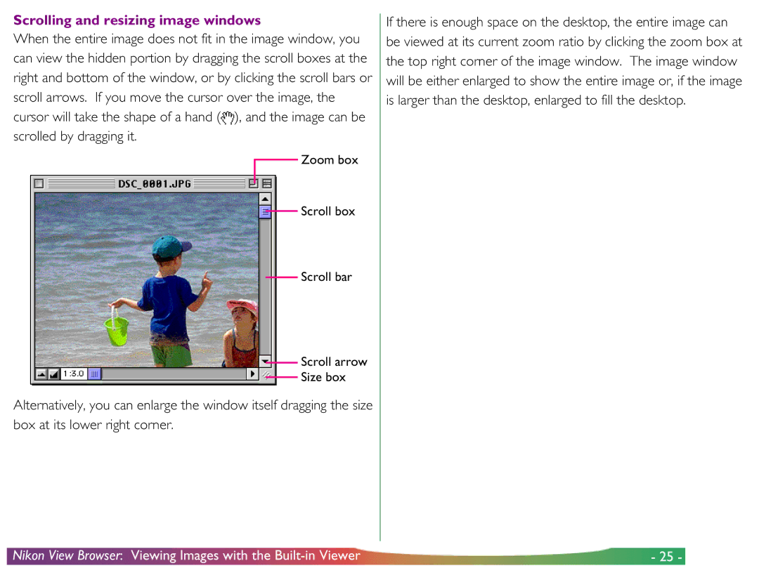 Nikon View DX manual Scrolling and resizing image windows 