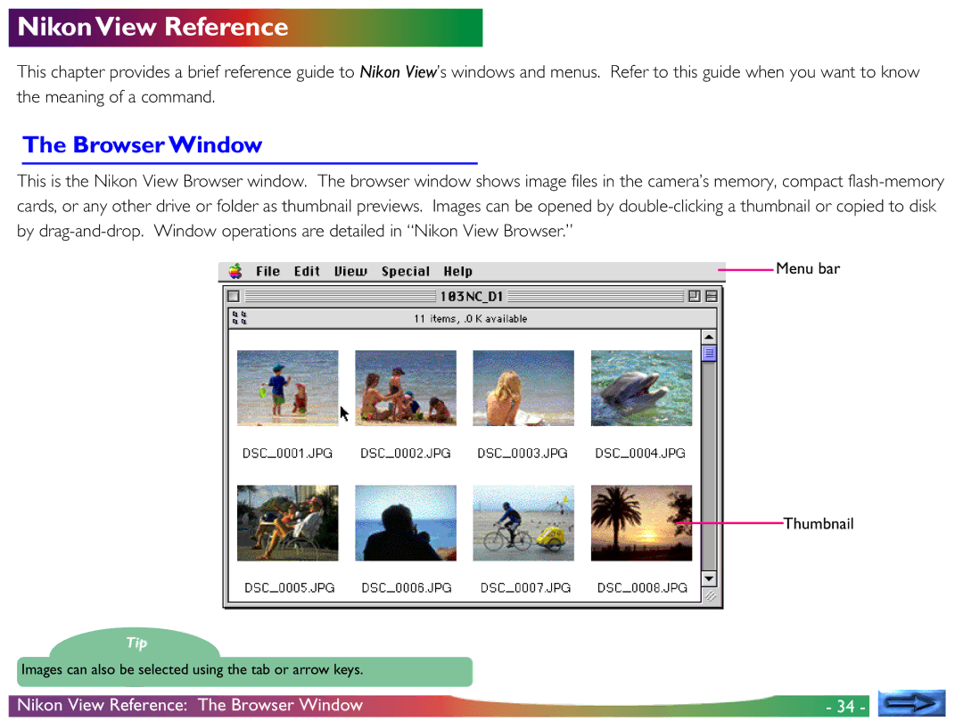 Nikon View DX manual NikonView Reference, Browser Window 