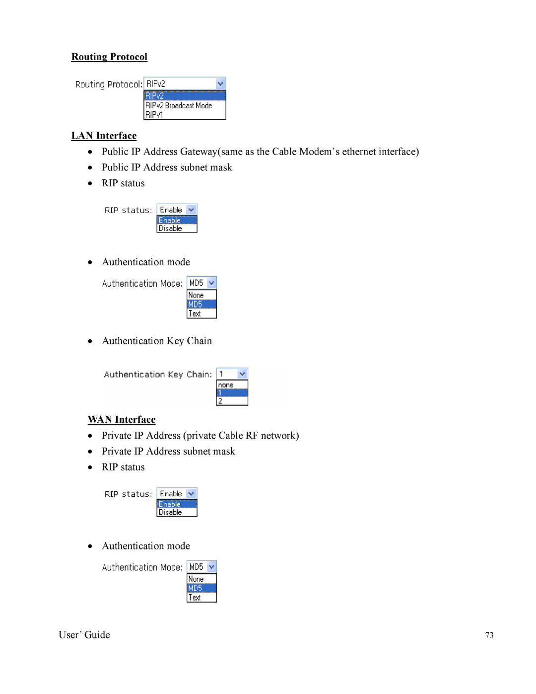 Nintendo 2000 manual Routing Protocol LAN Interface 