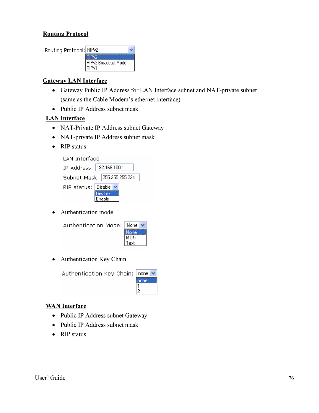 Nintendo 2000 manual Routing Protocol Gateway LAN Interface 