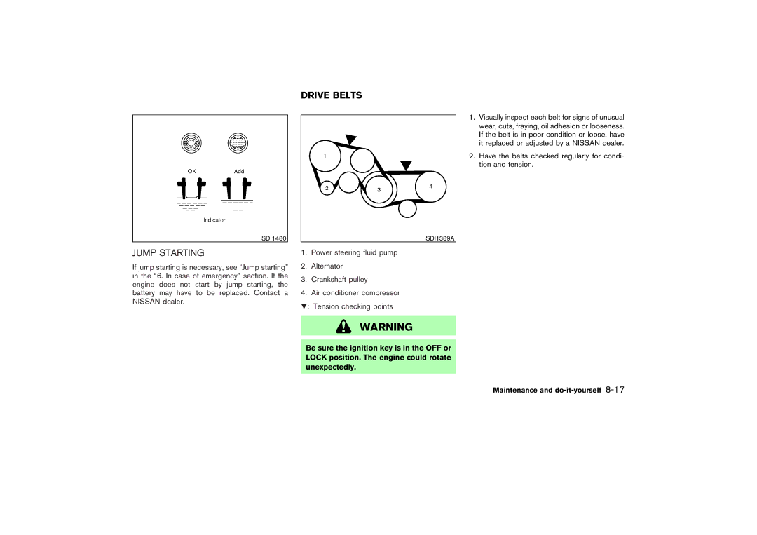 Nissan Z33-D owner manual Drive Belts, Jump Starting 