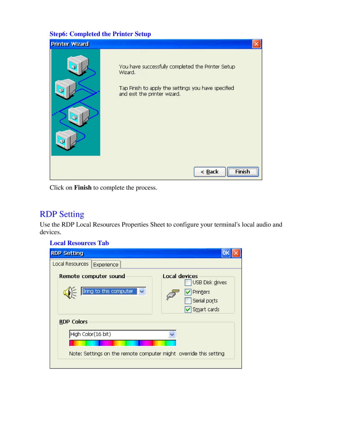 Nlynx MinIT6000 user manual RDP Setting, Completed the Printer Setup, Local Resources Tab 