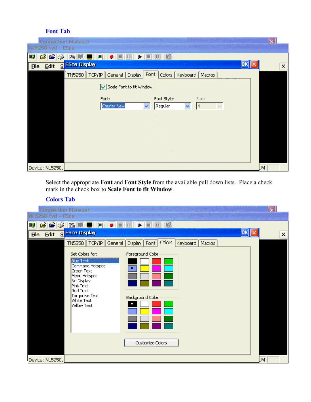 Nlynx MinIT6000 user manual Font Tab, Colors Tab 