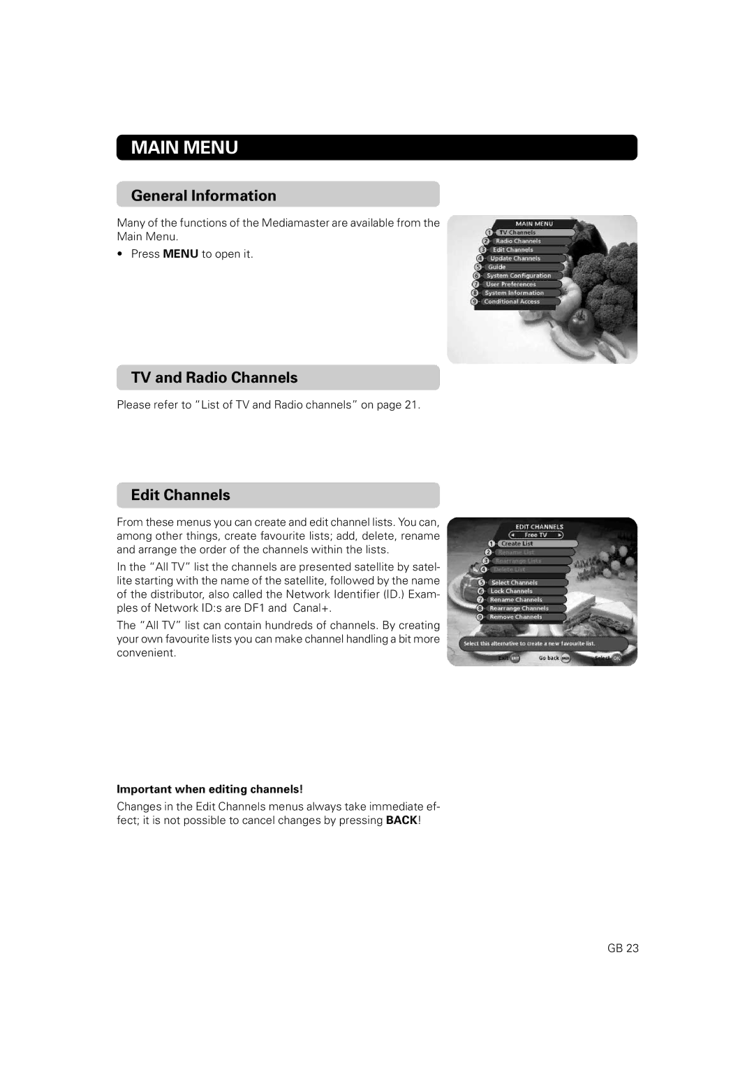 Nokia 9860 S owner manual Main Menu, TV and Radio Channels, Edit Channels, Important when editing channels 