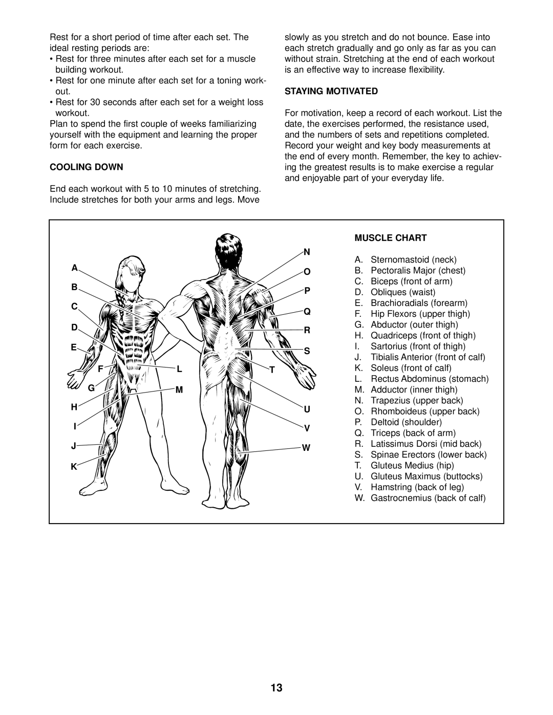 NordicTrack NTB14920 user manual Cooling Down, Staying Motivated, Muscle Chart 