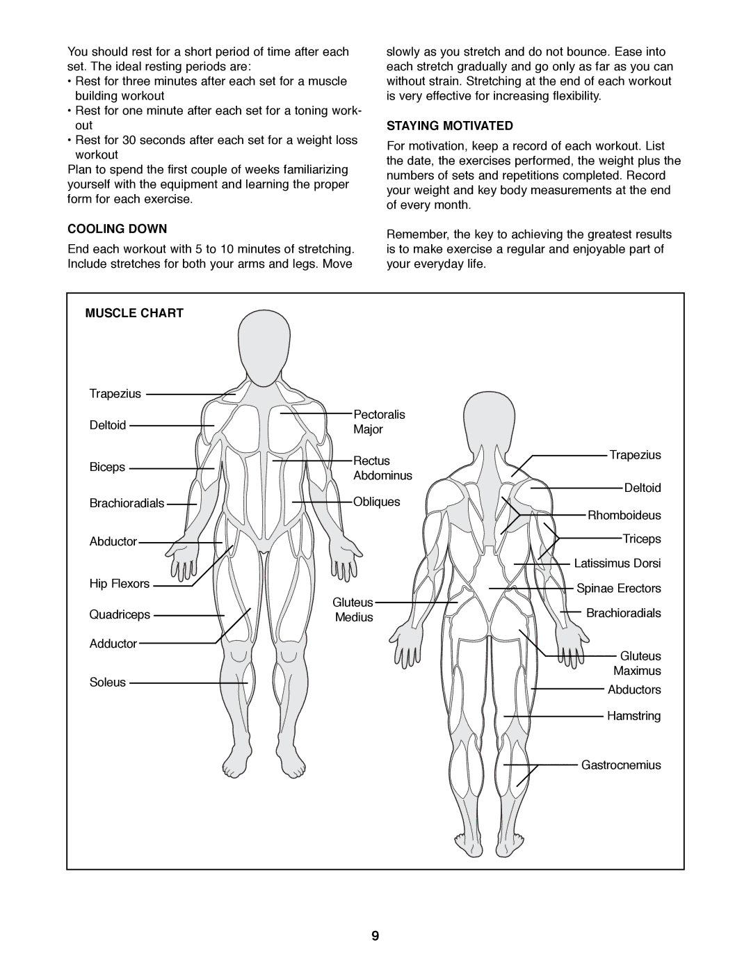 NordicTrack NTBE01100 manual Cooling Down, Staying Motivated, Muscle Chart 