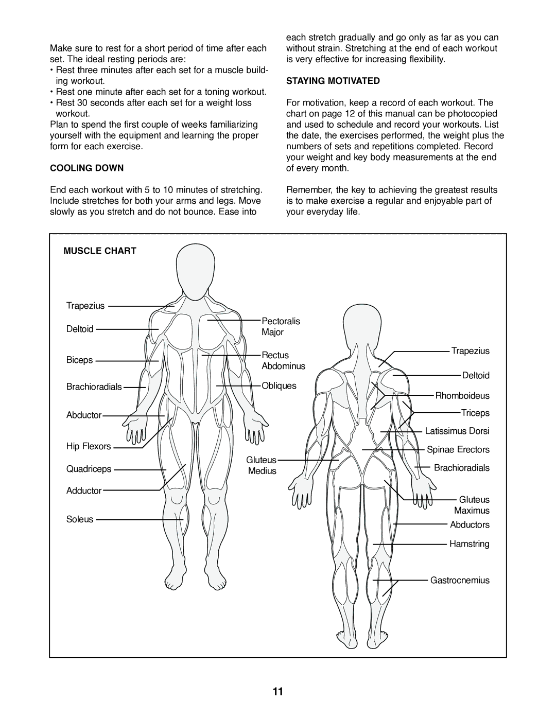 NordicTrack NTBE01700 user manual Cooling Down, Staying Motivated, Muscle Chart 