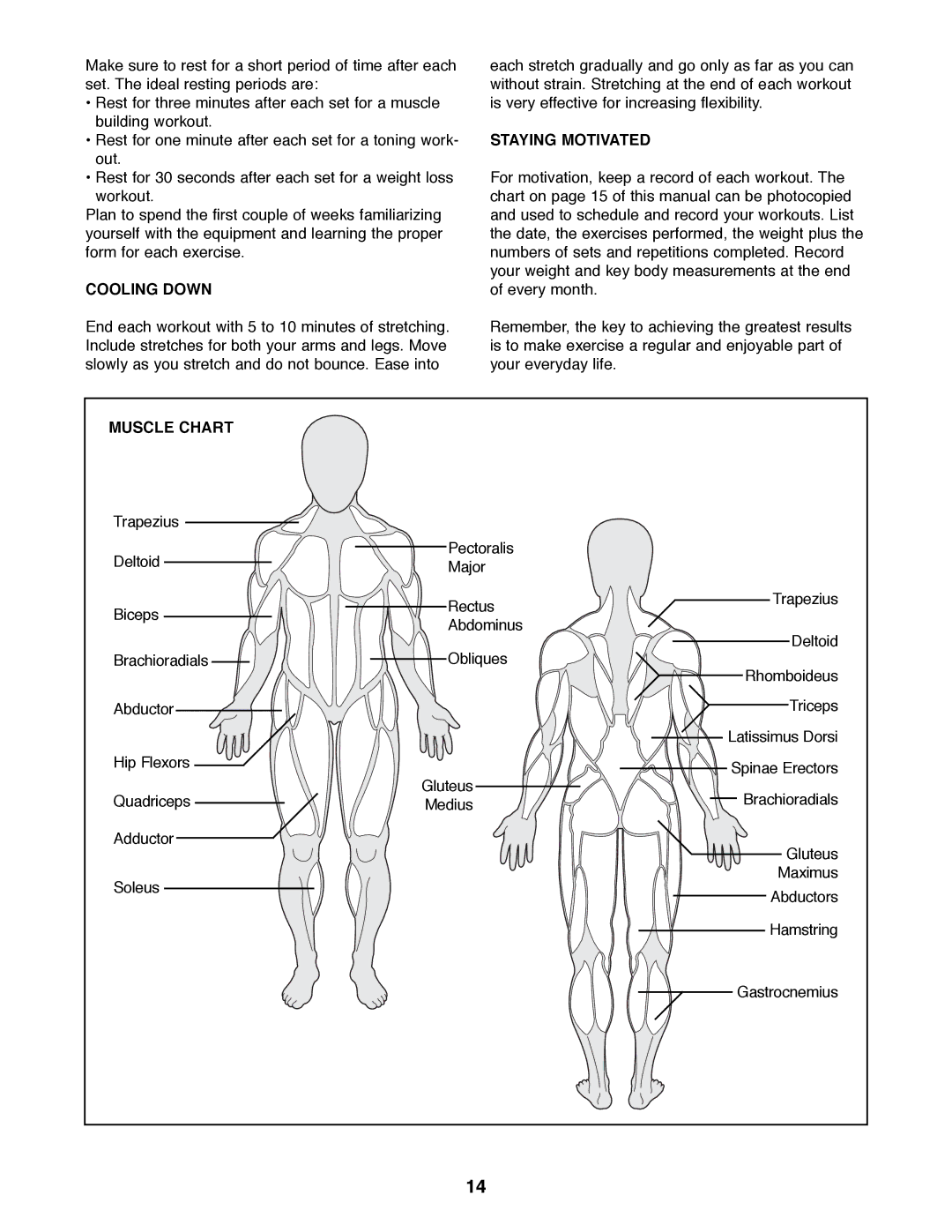 NordicTrack NTBE06900 manual Cooling Down, Staying Motivated, Muscle Chart 