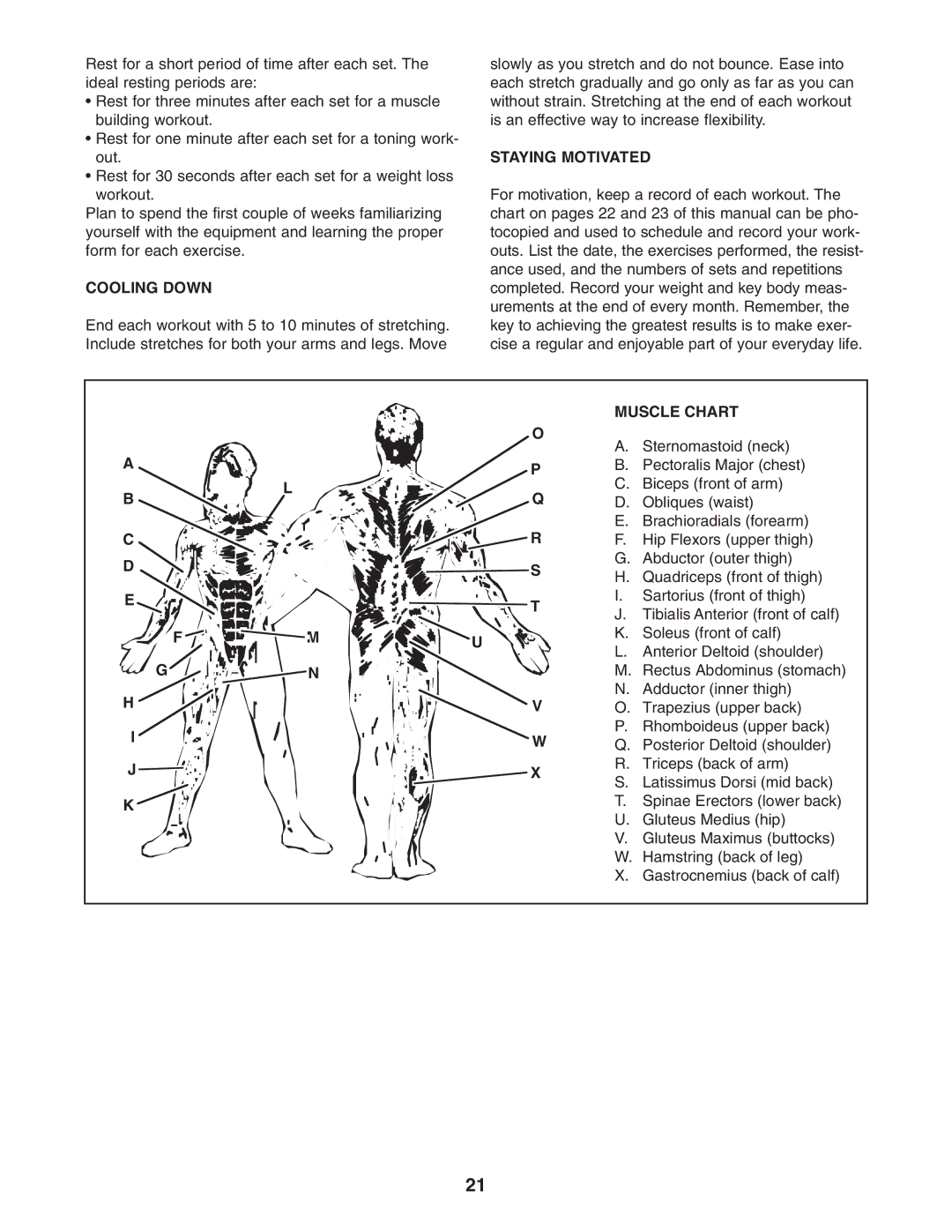 NordicTrack NTS58740 user manual Cooling Down, Staying Motivated, Muscle Chart 