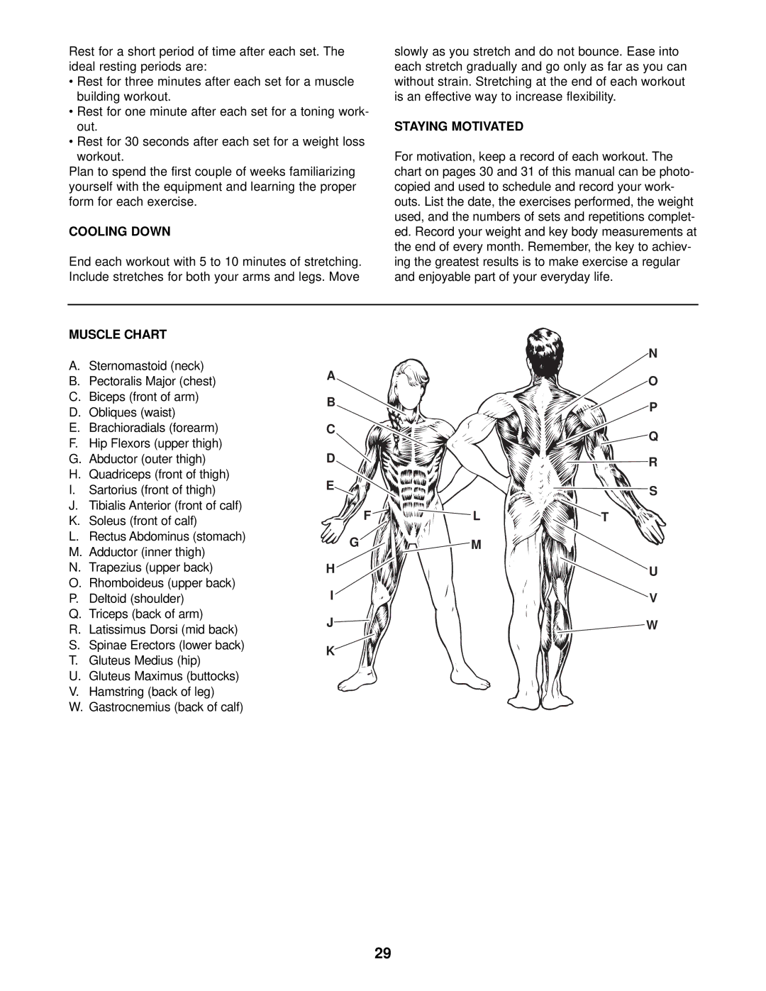 NordicTrack NTSY59210 user manual Cooling Down, Staying Motivated, Muscle Chart 