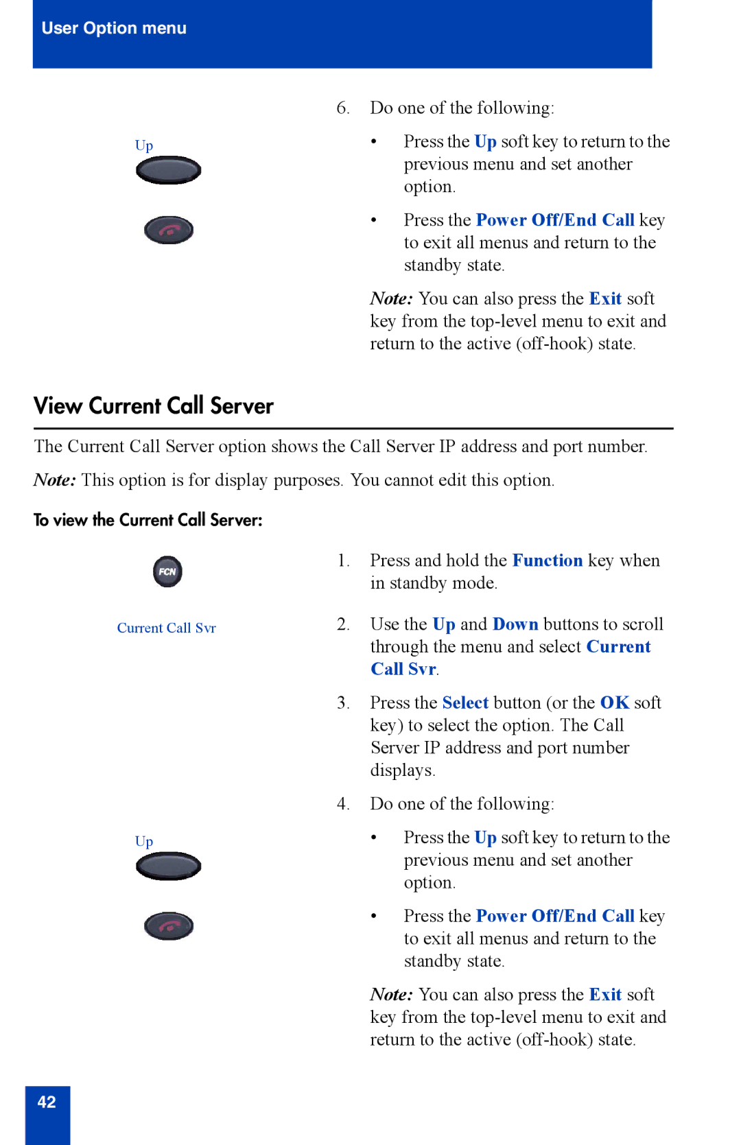 Nortel Networks 2210 manual View Current Call Server 