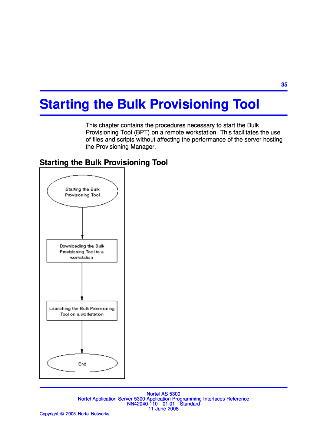 Nortel Networks AS 5300 manual Starting the Bulk Provisioning Tool 