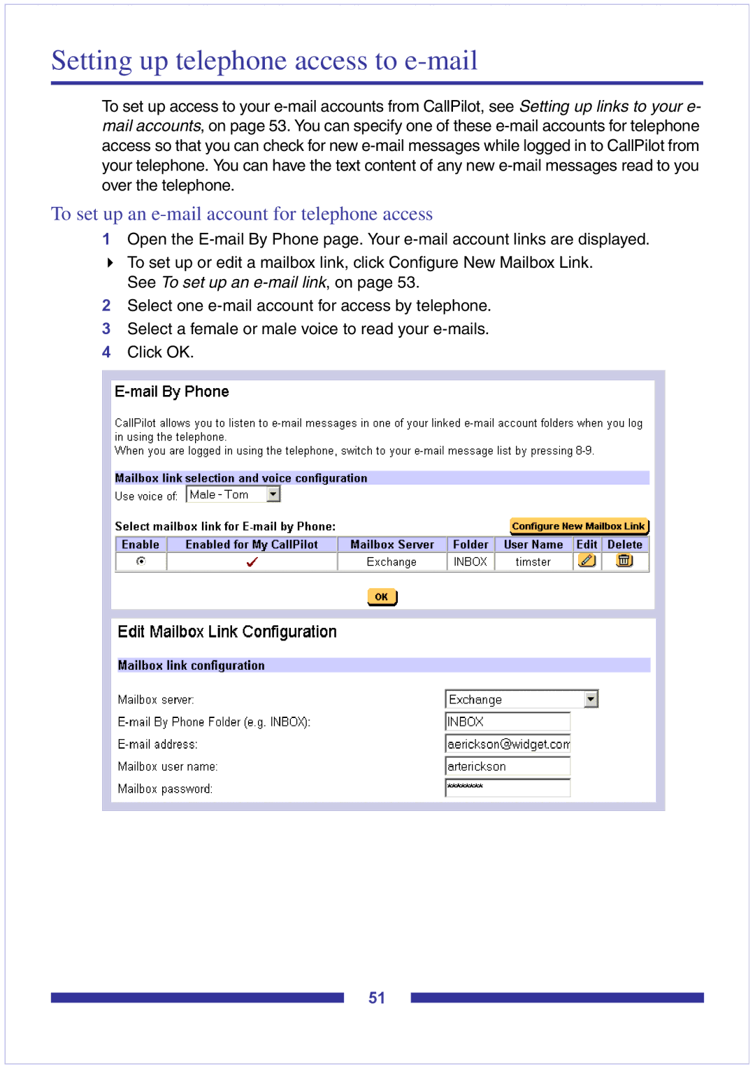 Nortel Networks CallPilot Desktop Messaging manual Setting up telephone access to e-mail 