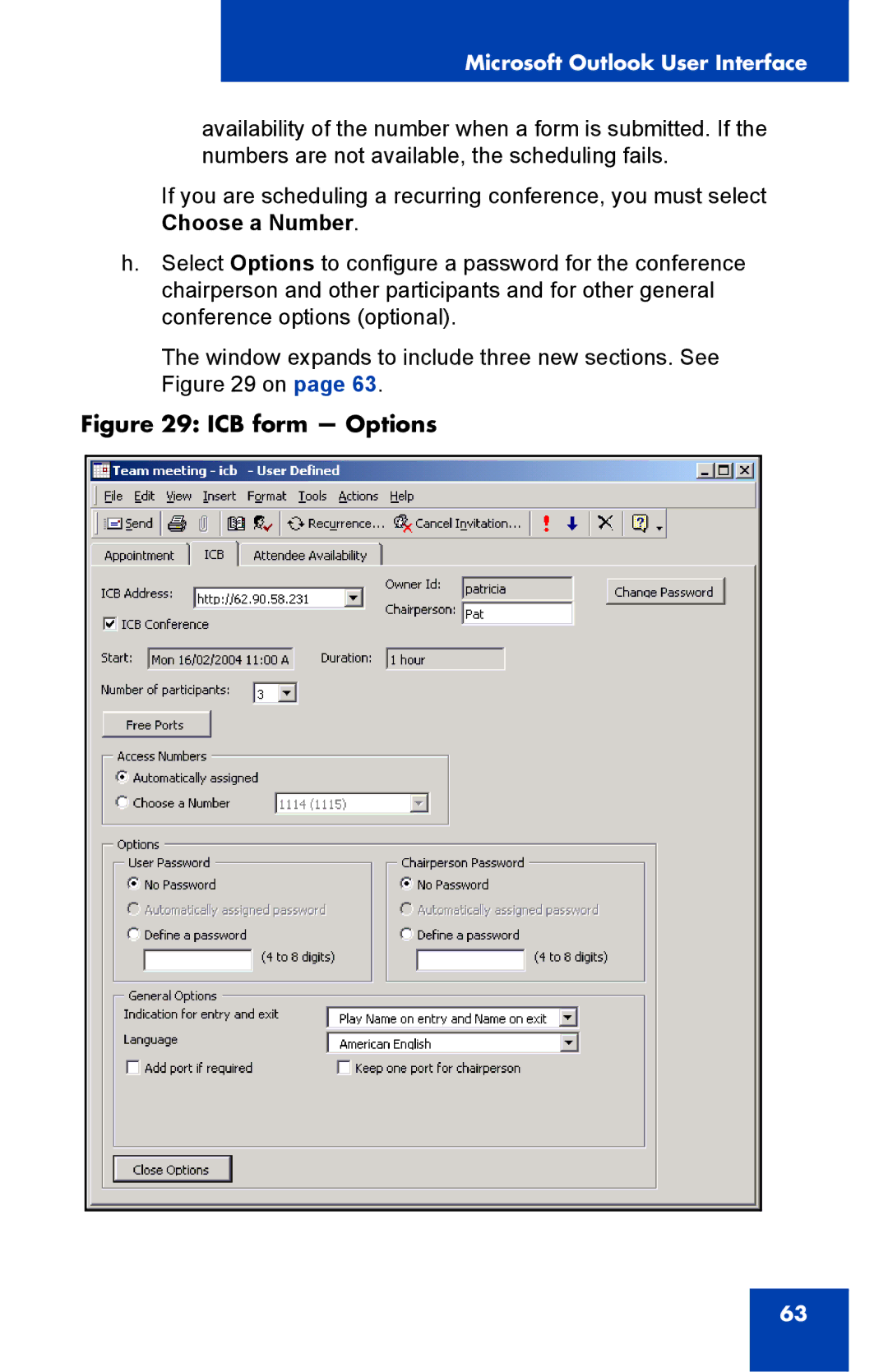 Nortel Networks Integrated Conference Bridge manual ICB form Options 