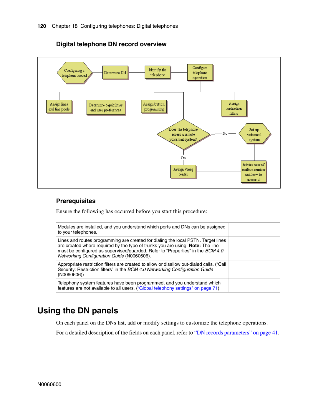 Nortel Networks N0060600 manual Using the DN panels, Digital telephone DN record overview Prerequisites 