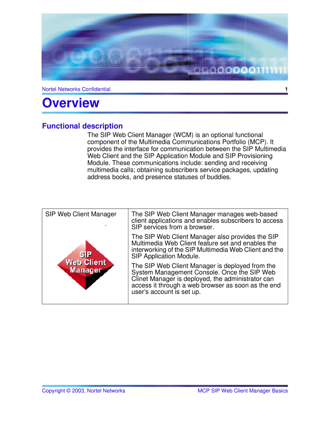 Nortel Networks NN10277-111 manual Overview, Functional description 