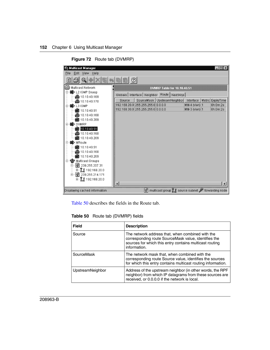 Nortel Networks Optivity Switch manual Describes the fields in the Route tab, Route tab Dvmrp fields 