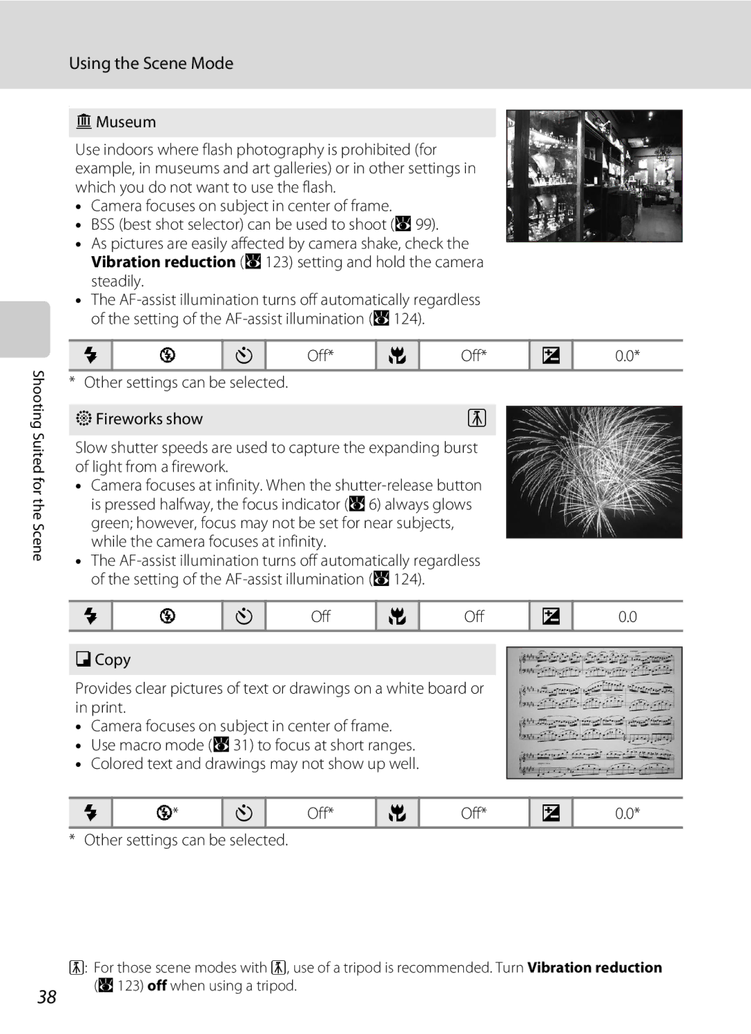 Nortel Networks S560 user manual Museum, MFireworks show 