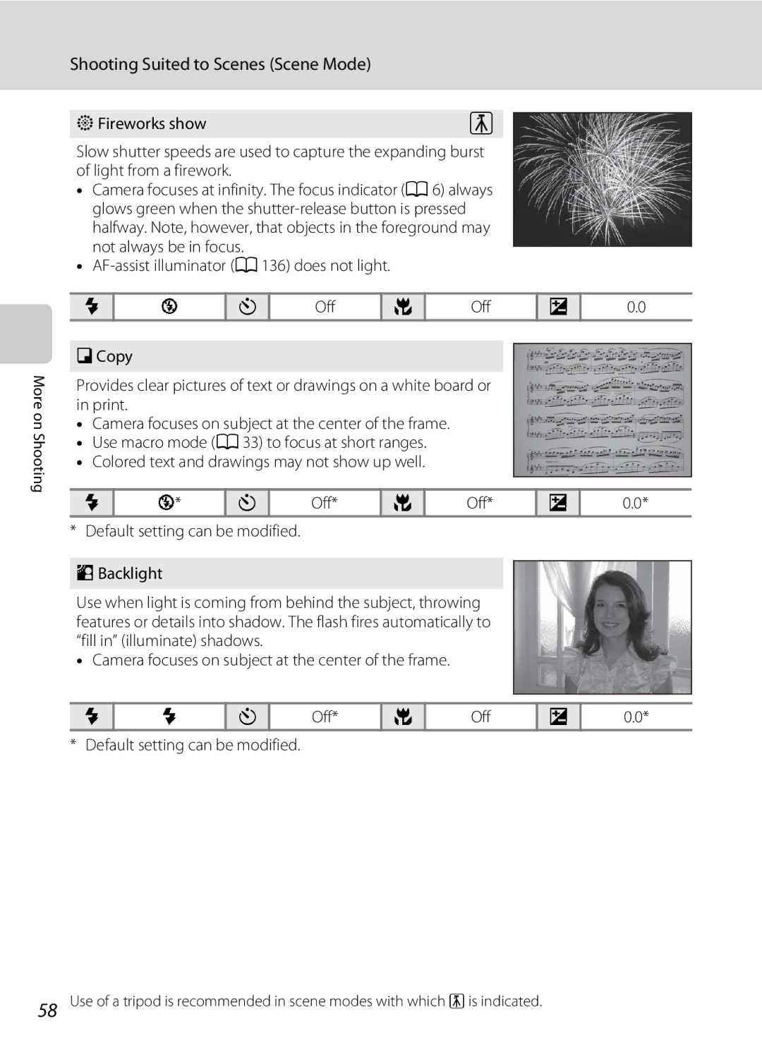 North Star S205 user manual Fireworks show 