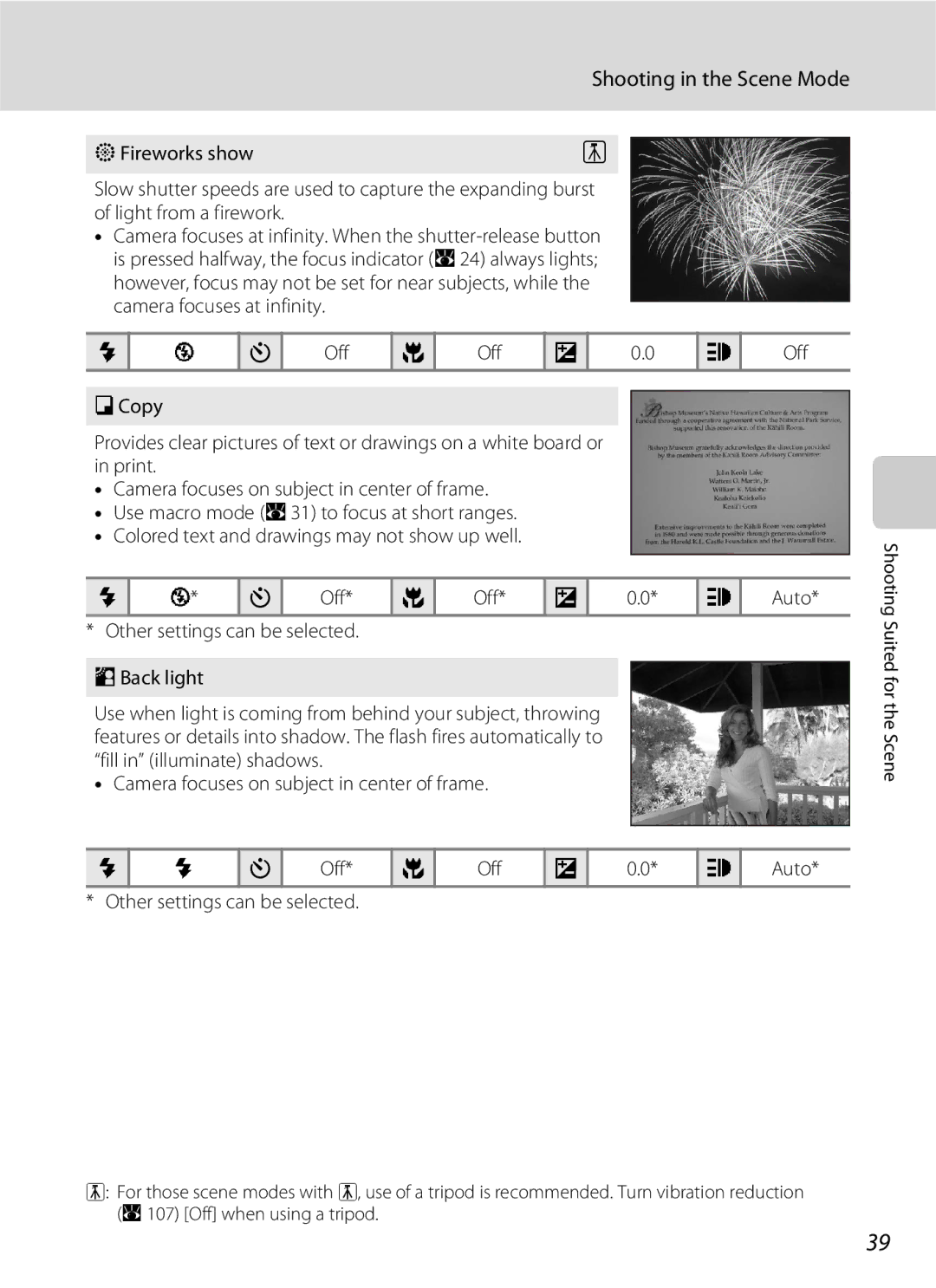 North Star S510 user manual Fireworks show 