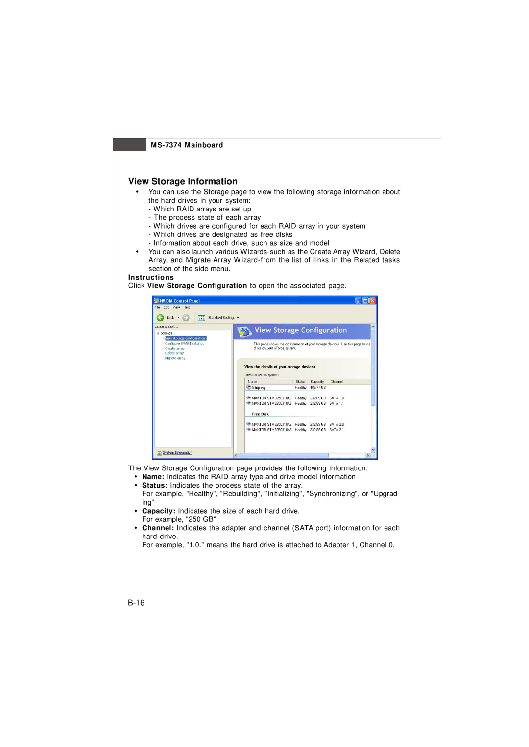 Nvidia MS-7374 manual View Storage Information 