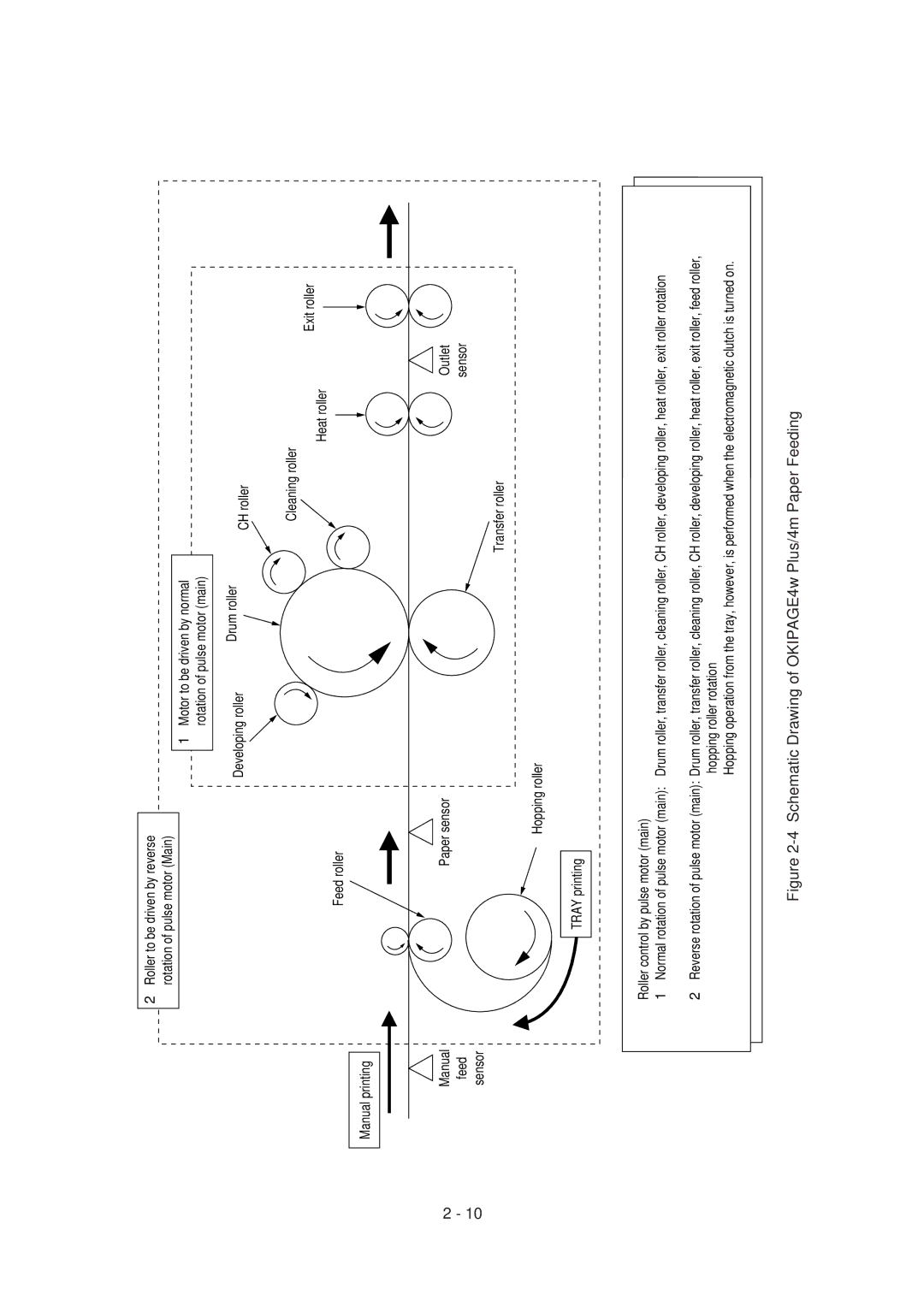 Oki 4M, 4W PLUS specifications Schematic Drawing of OKIPAGE4w Plus/4m Paper Feeding 