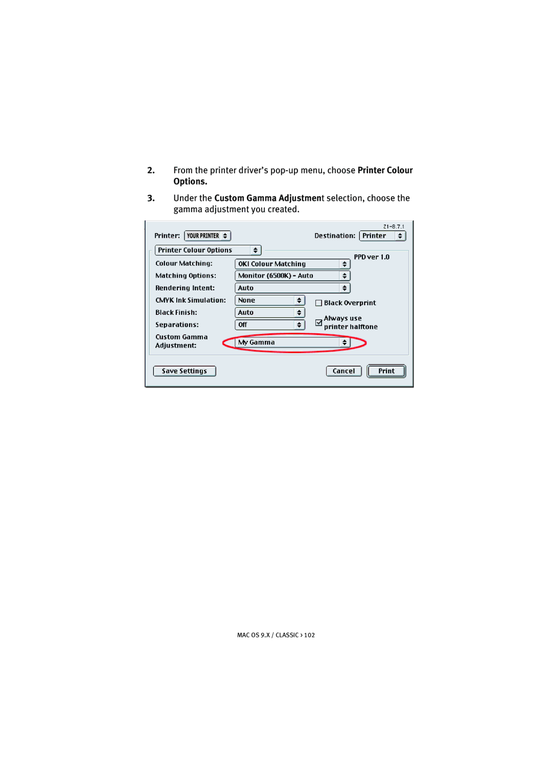 Oki 5300n manual Options 