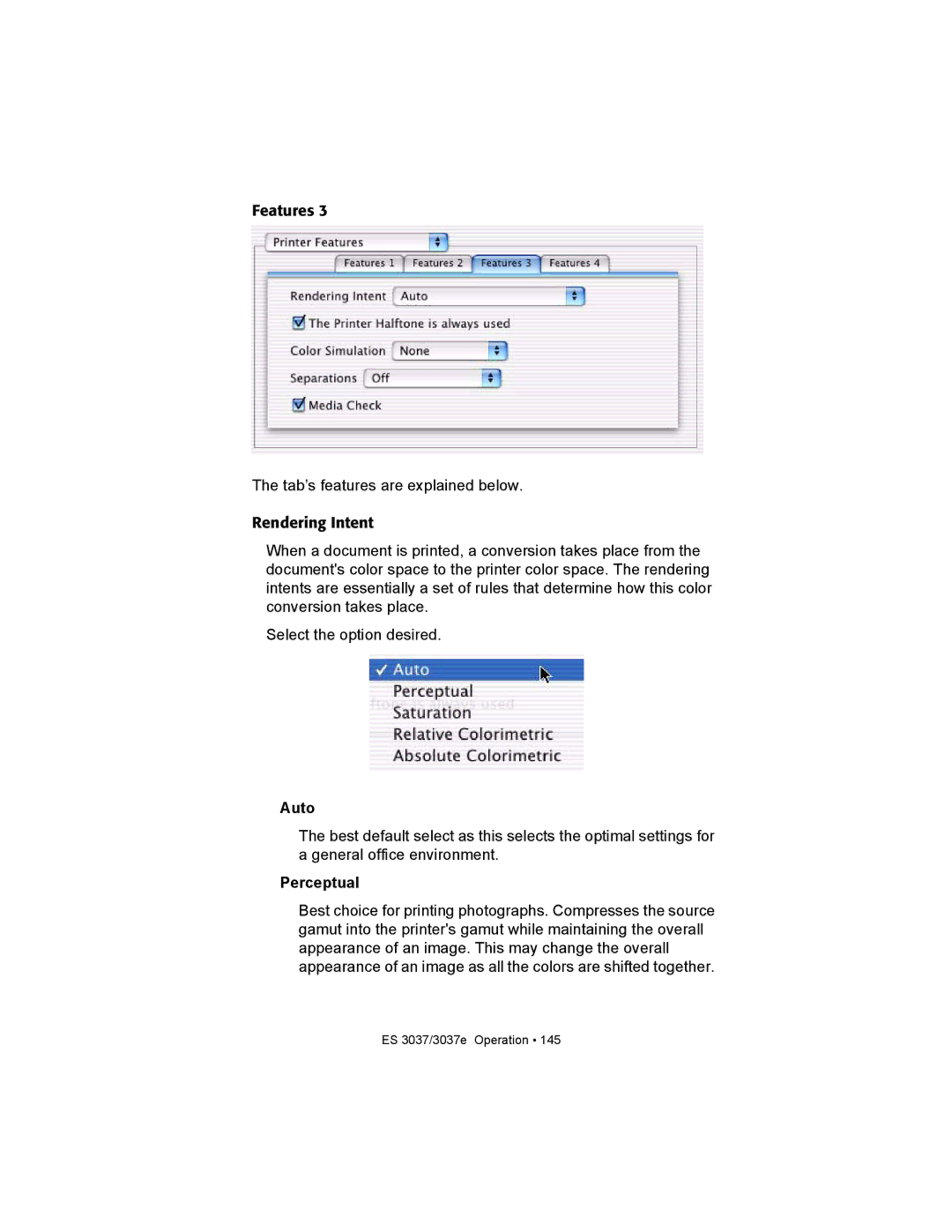 Oki ES3037 manual Perceptual 