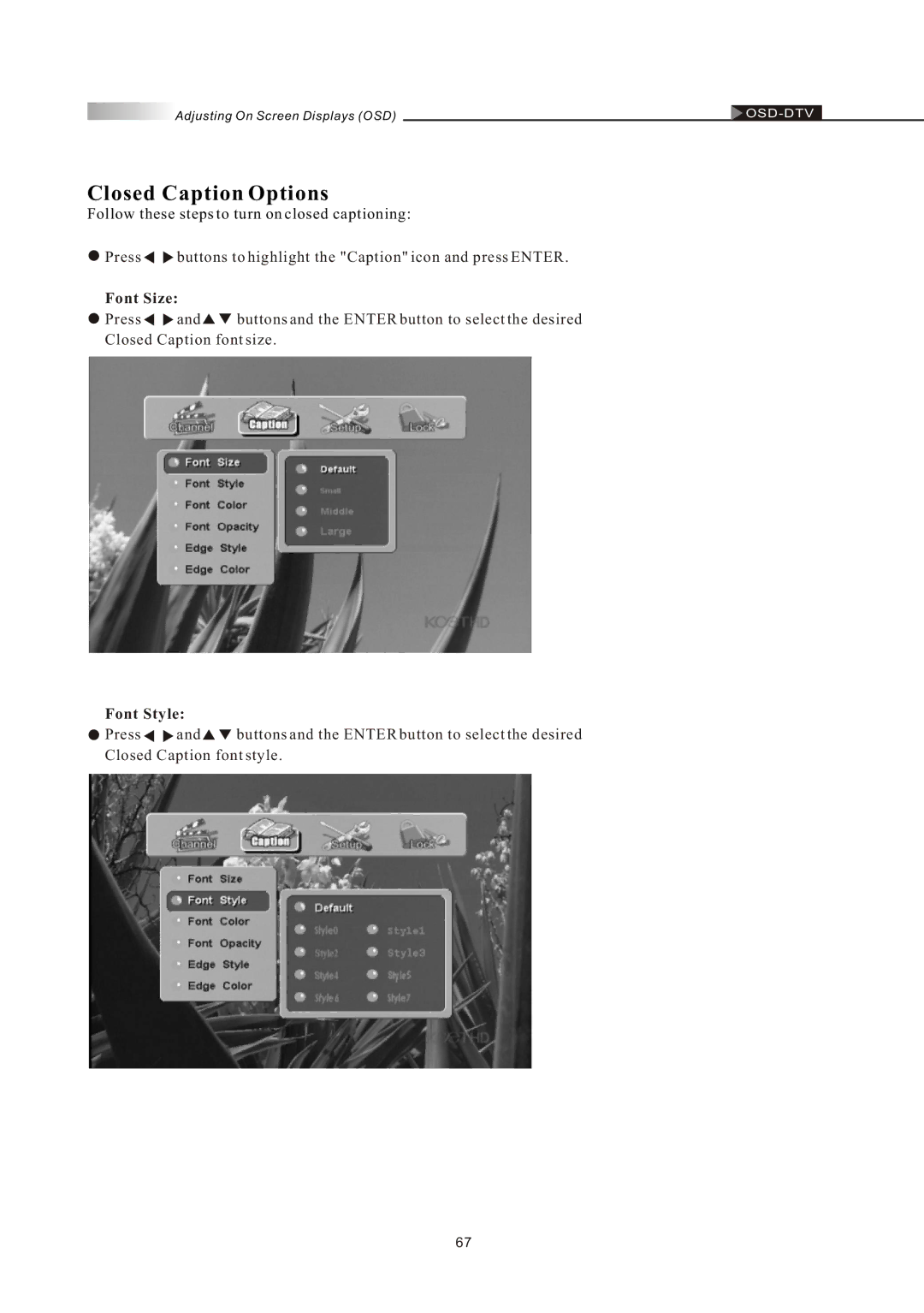 Olevia LT42HVi manual Closed Caption Options, Font Size, Font Style 