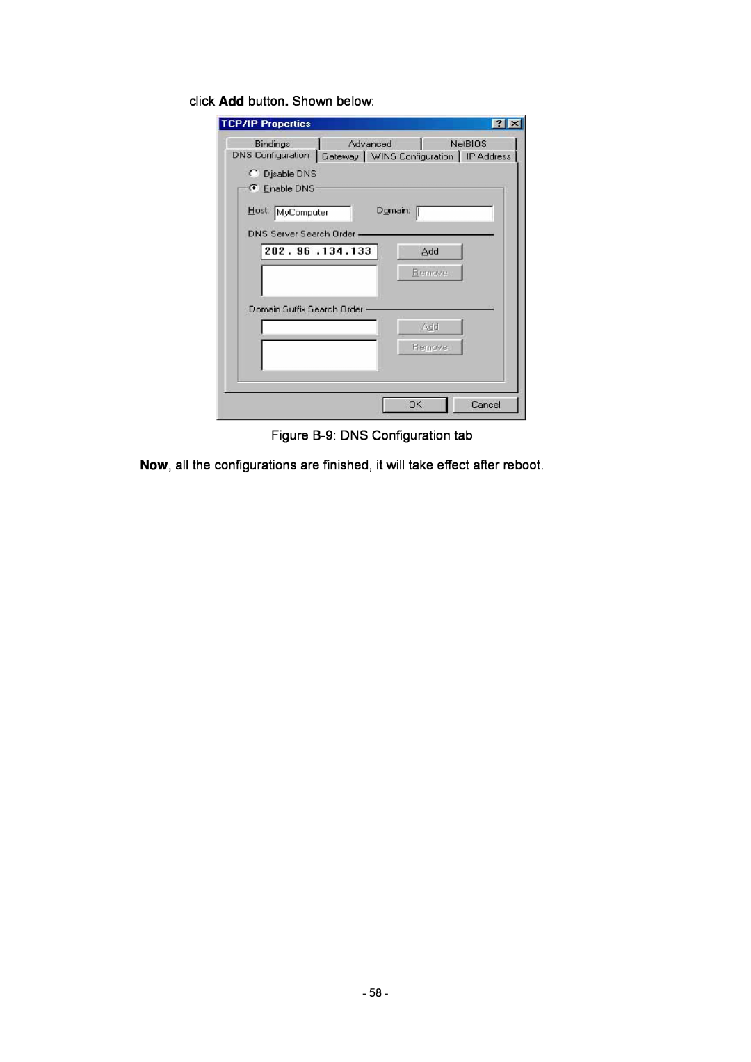 Olitec RW400SG manual click Add button. Shown below Figure B-9 DNS Configuration tab 