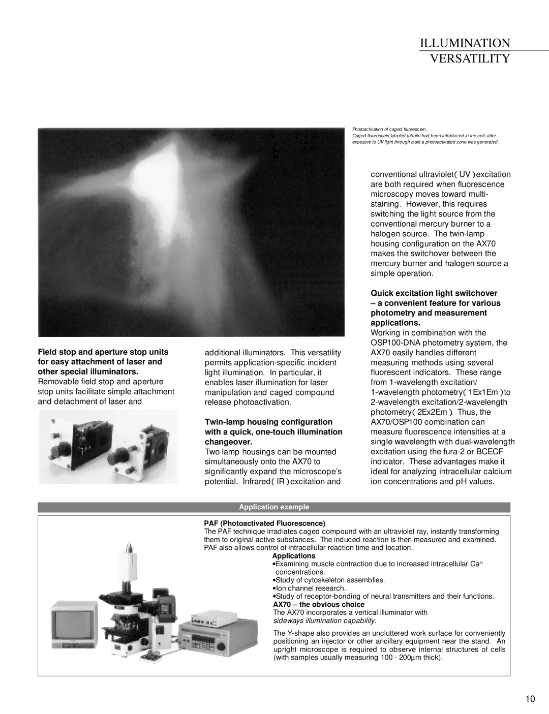 Olympus AX70 manual Illumination Versatility, Photoactivation of caged fluorescein 