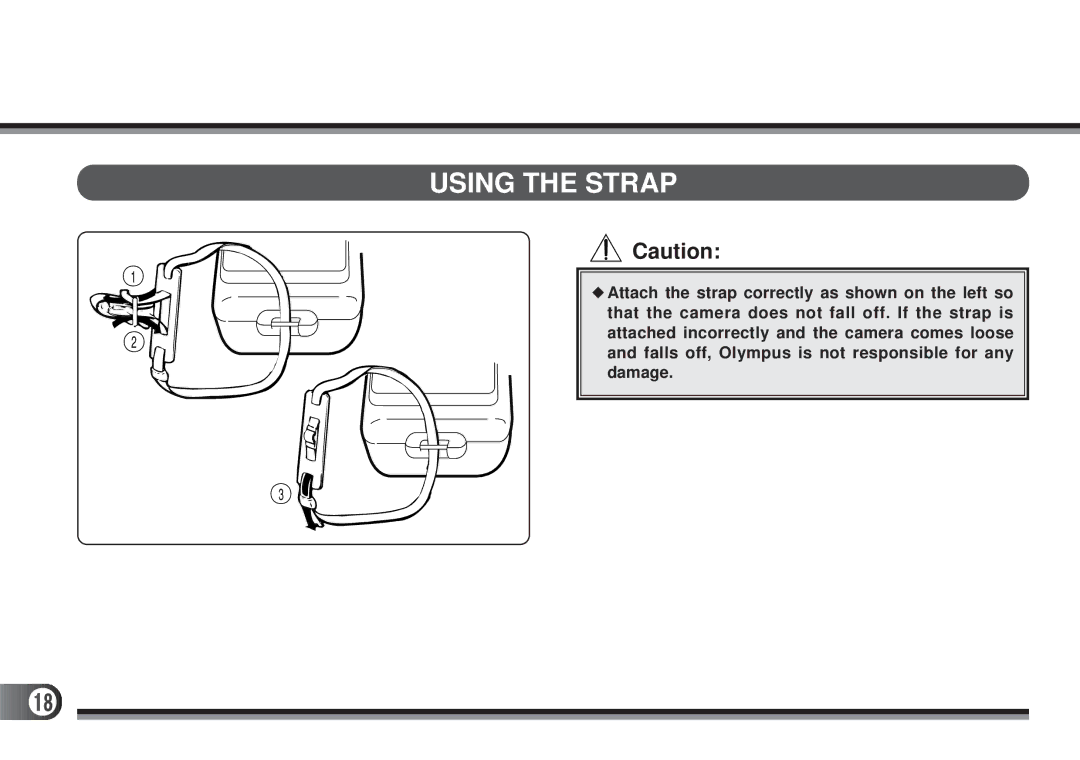 Olympus D200-L, D-300L manual Using the Strap 