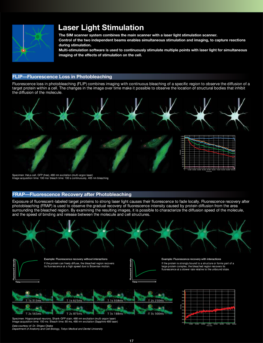 Olympus FV1000 manual Laser Light Stimulation, FLIP-Fluorescence Loss in Photobleaching 