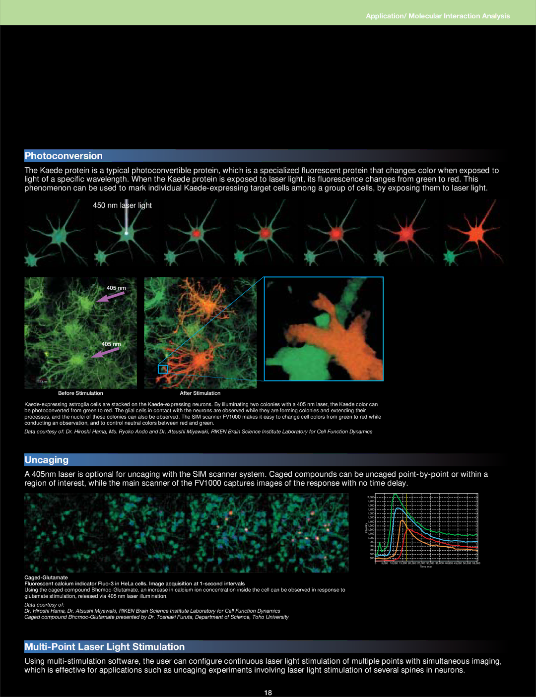 Olympus FV1000 manual Photoconversion, Uncaging, Multi-Point Laser Light Stimulation 