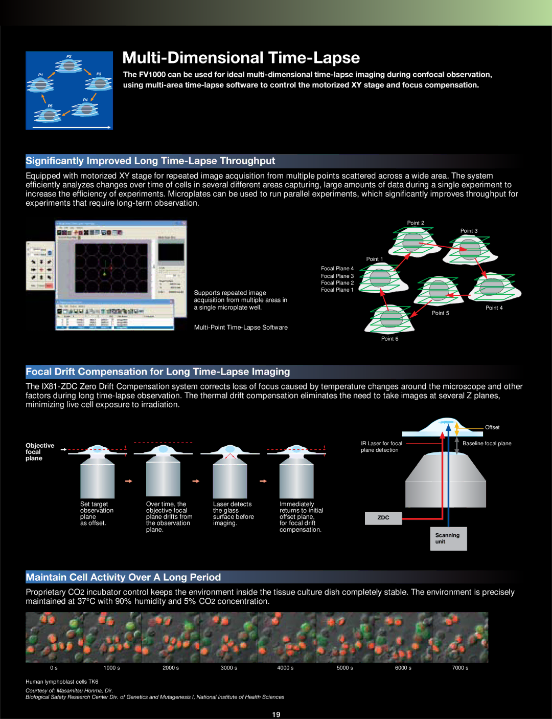 Olympus FV1000 manual Multi-Dimensional Time-Lapse, Significantly Improved Long Time-Lapse Throughput 