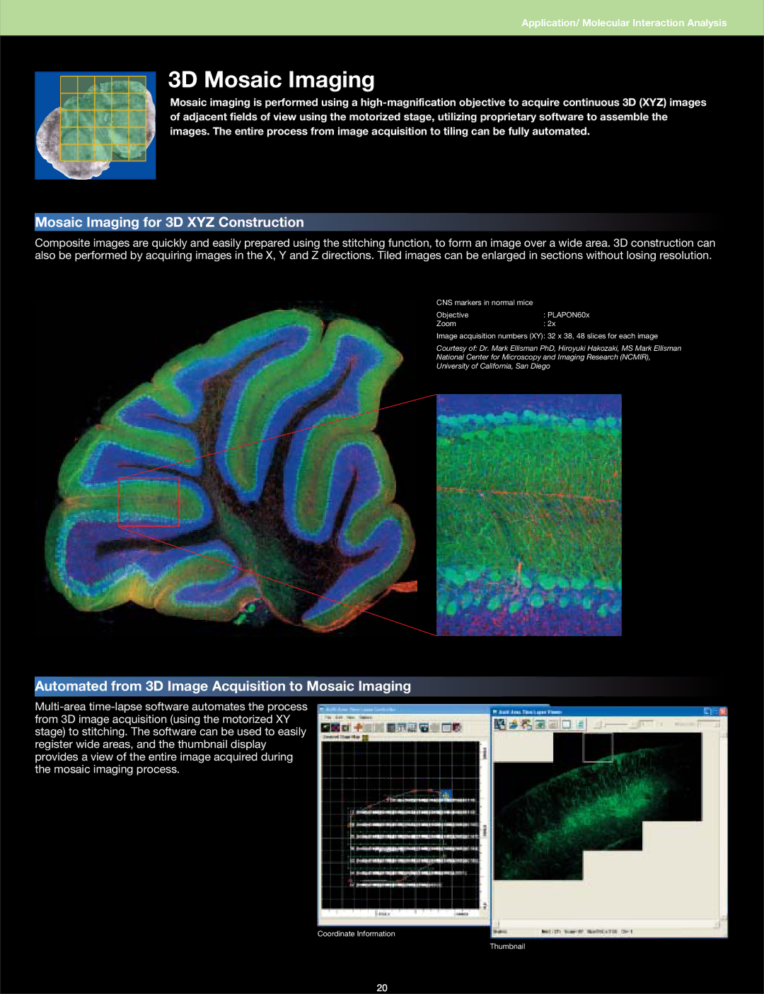 Olympus FV1000 manual 3D Mosaic Imaging, Mosaic Imaging for 3D XYZ Construction 